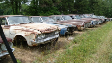 Photo of Epic Mopar American Muscle Junkyard With Barn Finds Galore.