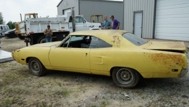 Photo of Barn Find Plymouth Superbird Rescued