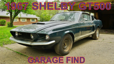 Photo of All-Original 1967 Mustang Shelby GT500 Garage Find Gets Out after 30 Years