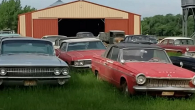 Photo of This Stash Of Abandoned Classic Cars Gives Us Hope For Tomorrow