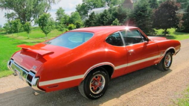 Photo of Man Finally Buys His Dream Muscle Car