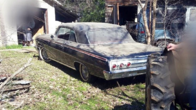 Photo of Dream Survivor 1962 Chevy Impala In A Great Shape With A/C