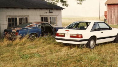 Photo of 1969 & 1988 Ford Mustangs – Once Removed