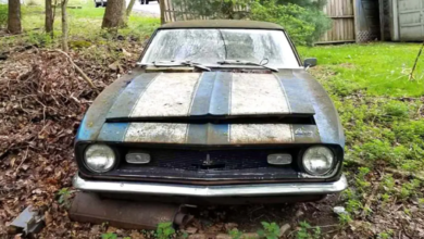 Photo of Rare 1968 Z/28 Camaro Saved From Field After 43 Years!