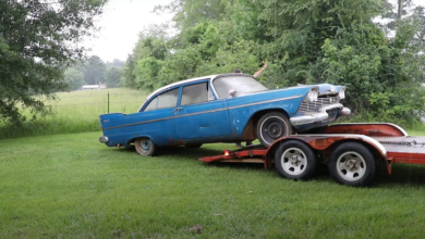 Photo of 1958 Plymouth Parked In A Barn For Over 15 Years – Too Rare Of A Car To Hot Rod