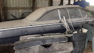 Photo of 1960 Chevrolet Bel Air Sitting In An Old Barn For Who Knows How Long Begs For Bringing Back To Life