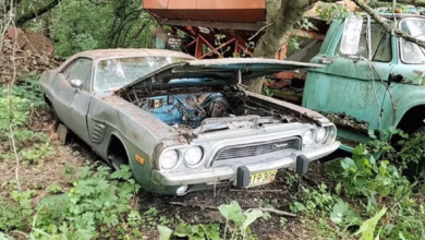 Photo of Field Of Abandoned Dreams, Filled With Dodge Muscle Cars