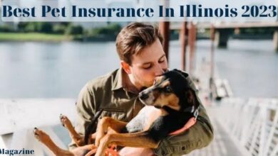 Photo of Best Pet Insurance In Illinois 2023