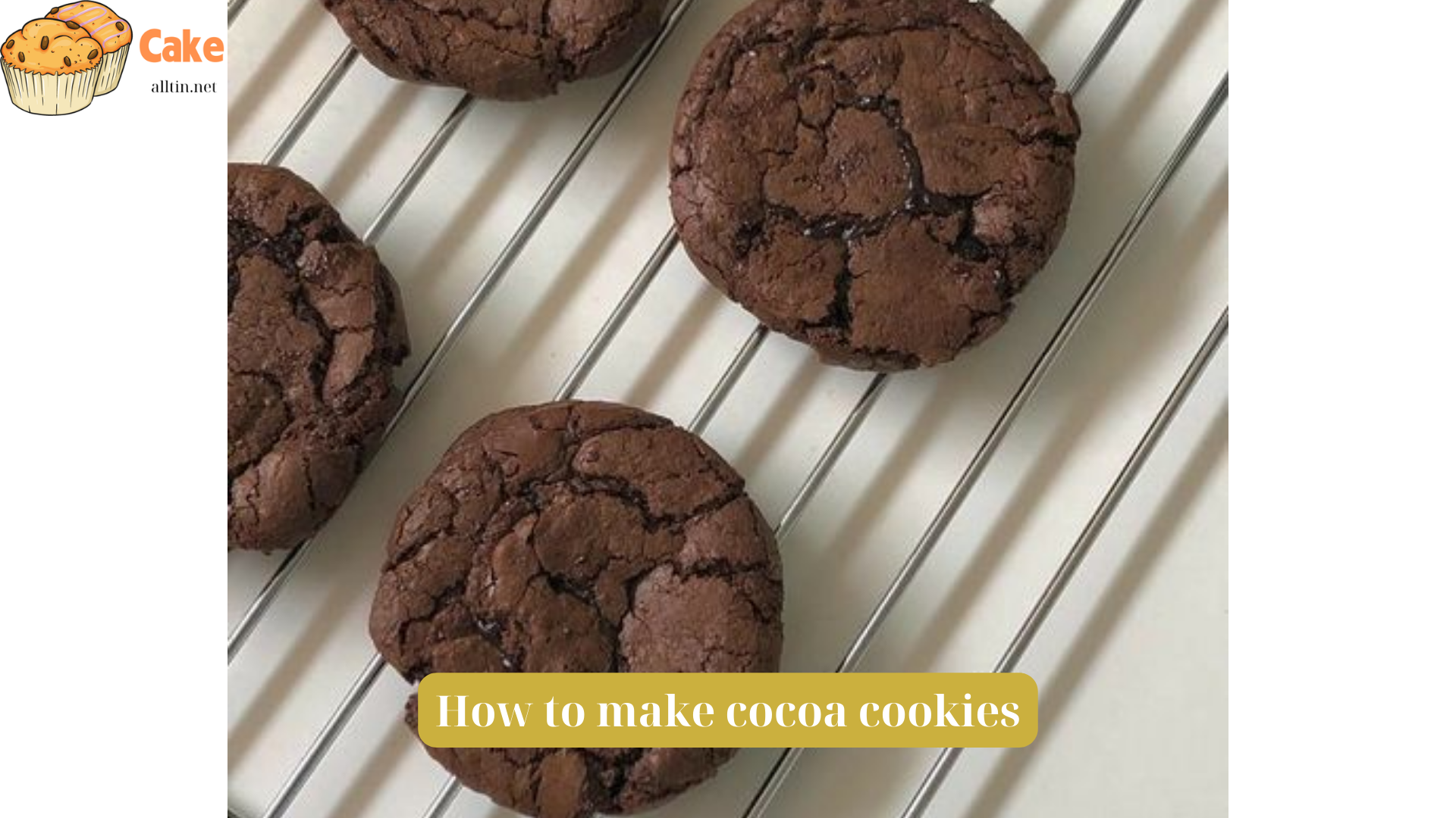 How to make cocoa cookies (1)