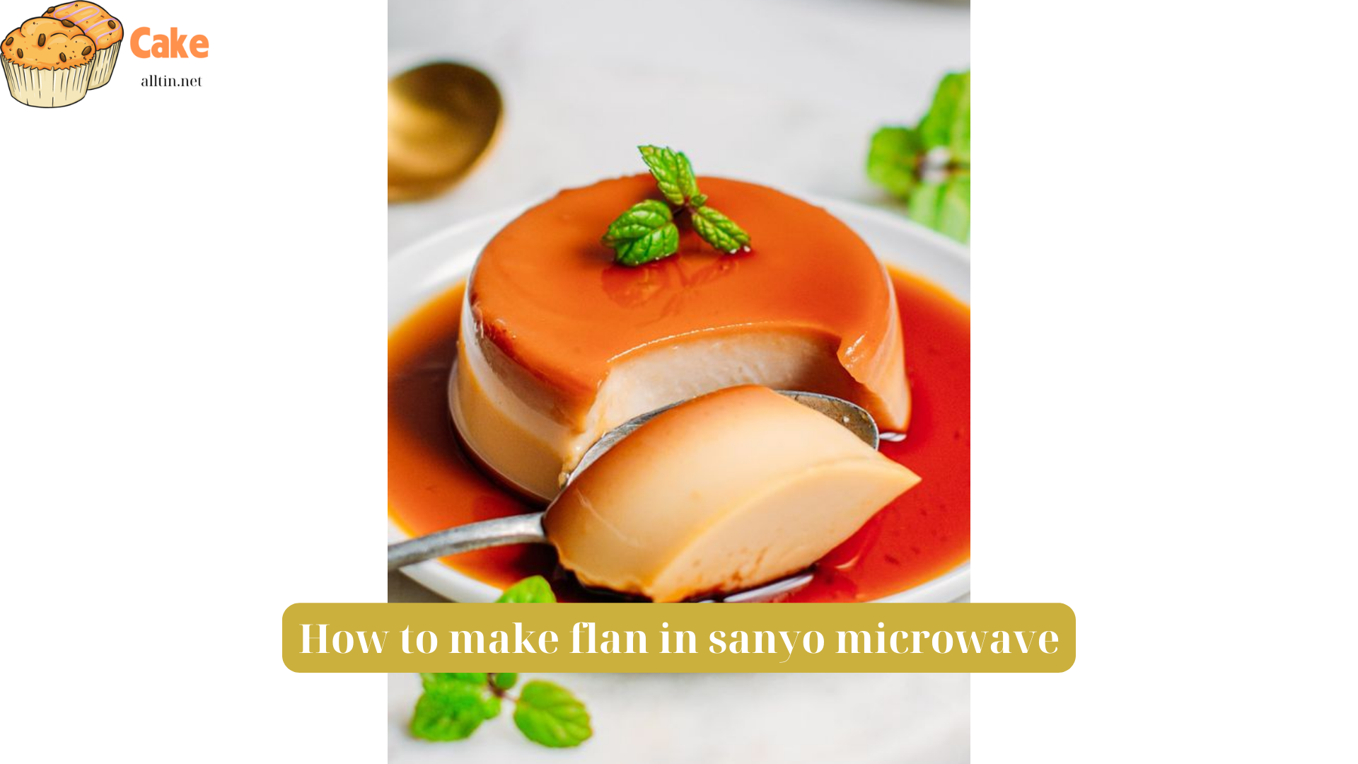 How to make flan in sanyo microwave